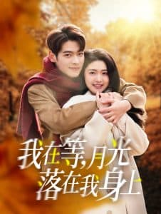 我在等月光落在我身上 - 女频恋爱 (2025) 海报