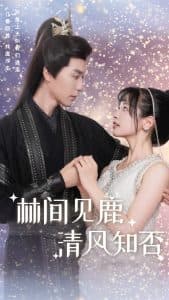 林间见鹿清风知否 - 年代穿越 (2025) 海报