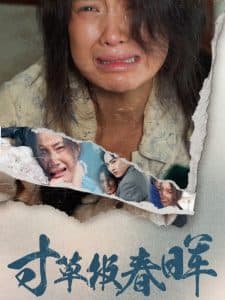 寸草报春晖 - 现代都市 (2025) 海报