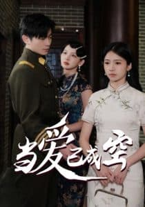 当爱已成空 - 年代穿越 (2025) 海报