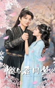 恰与君同梦 - 古装仙侠 (2025) 海报