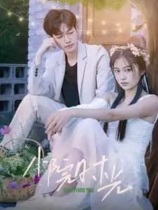 小院时光 - 女频恋爱 (2025) 海报