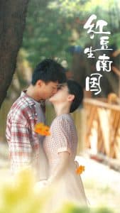 红豆生南国 - 女频恋爱 (2025) 海报
