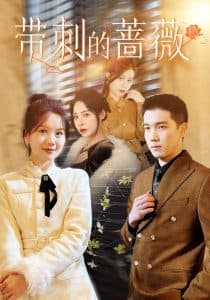 带刺的蔷薇 - 女频恋爱 (2025) 海报