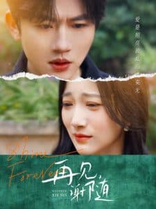 再见谢随 - 现代都市 (2025) 海报