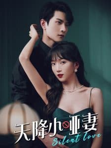 天降小哑妻 - 女频恋爱 (2025) 海报