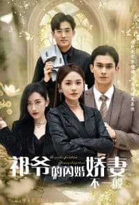 祁爷的闪婚娇妻不一般 - 女频恋爱 (2025) 海报
