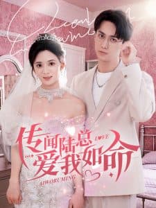 传闻陆总爱我如命 - 女频恋爱 (2025) 海报