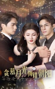 贪慕月光悔错朝阳 - 女频恋爱 (2025) 海报