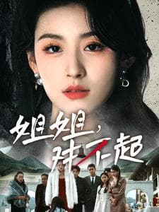 姐姐对不起 - 现代都市 (2025) 海报