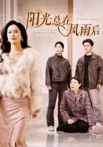 阳光总在风雨后短剧 - 现代都市 (2025) 海报