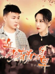 年少有为不自卑 - 现代都市 (2025) 海报