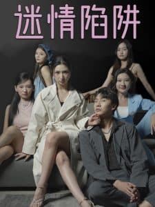 迷情陷阱 - 女频恋爱 (2025) 海报