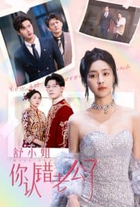舒小姐你认错老公了 - 女频恋爱 (2025) 海报
