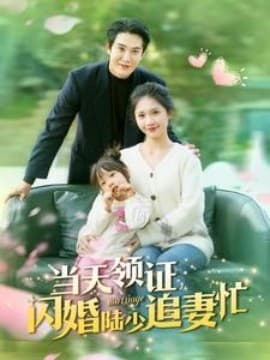 当天领证闪婚陆少追妻忙 - 女频恋爱 (2025) 海报