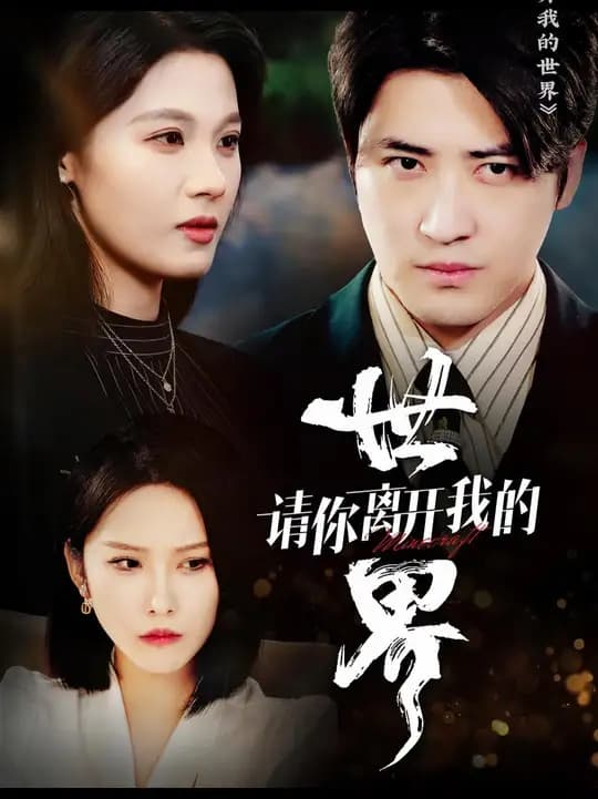 请你离开我的世界 - 现代都市 (2025) 海报