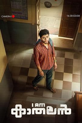 多情男孩 - 喜剧片 (2024) 海报