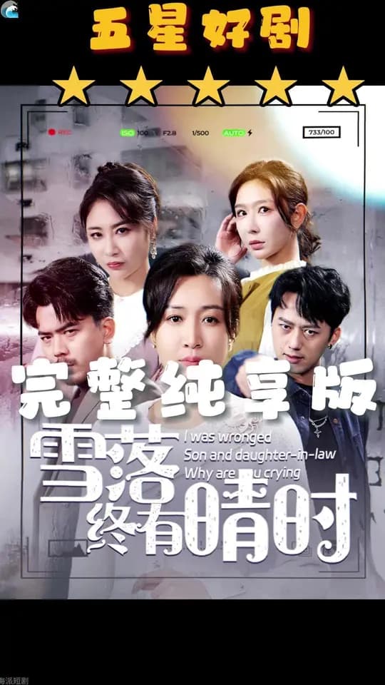 雪落终有晴时 - 女频恋爱 (2025) 海报