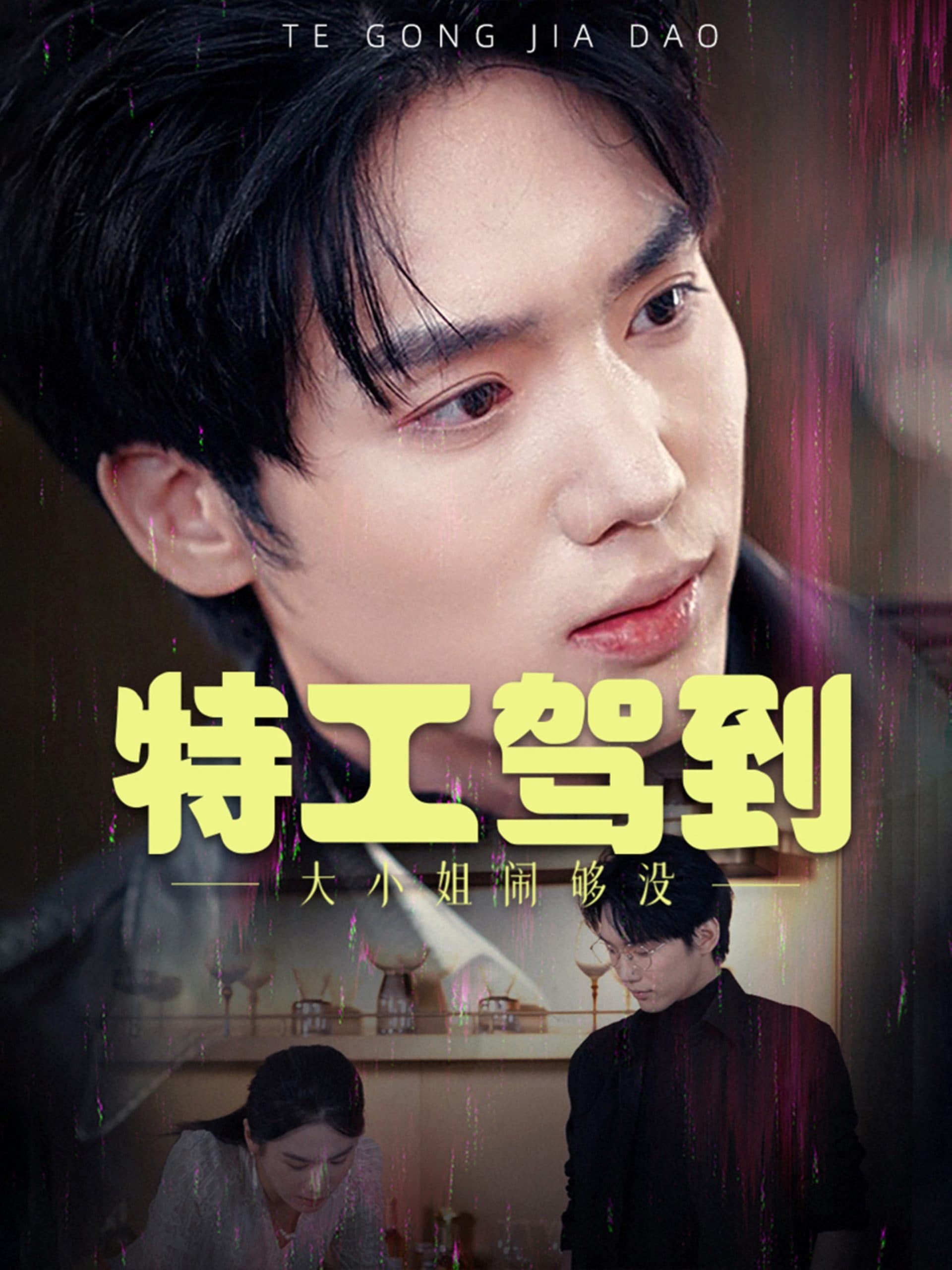 特工驾到大小姐闹够没 - 女频恋爱 (2025) 海报