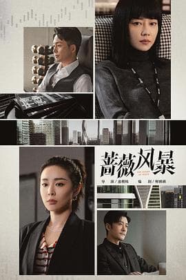 蔷薇风暴 - 国产剧 (2024) 海报