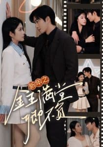 新年之金玉满堂卿不负 - 现代都市 (2025) 海报