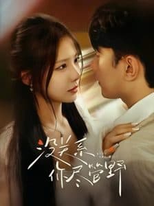 没关系你尽管野 - 女频恋爱 (2025) 海报