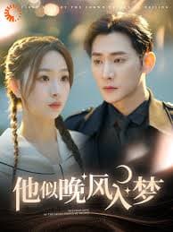 他似晚风入梦 - 女频恋爱 (2025) 海报