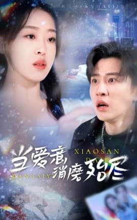 当爱意消磨殆尽 - 现代都市 (2025) 海报