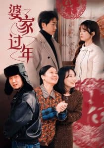 婆家过年 - 现代都市 (2025) 海报