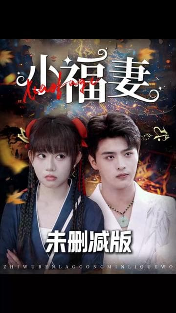 小福妻 - 女频恋爱 (2025) 海报