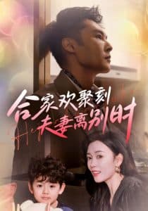 合家欢聚刻夫妻离别时 - 反转爽剧 (2025) 海报