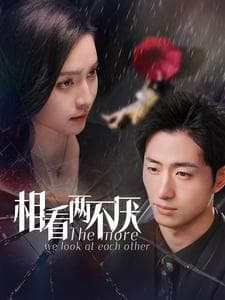 相看两不厌 - 女频恋爱 (2025) 海报