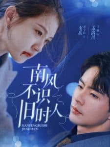 南风不识旧时人 - 女频恋爱 (2025) 海报