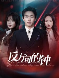 反方向的钟 - 现代都市 (2025) 海报