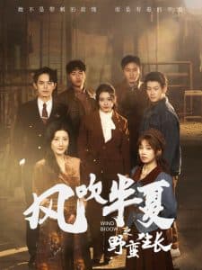 风吹半夏之野蛮生长 - 现代都市 (2025) 海报