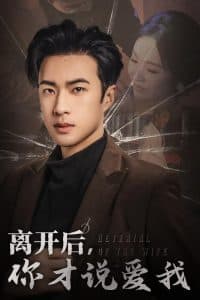 离开后你才说爱我 - 现代都市 (2025) 海报