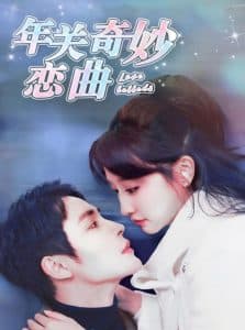 租个钻石男友回家过年 - 女频恋爱 (2025) 海报