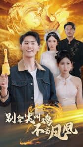 别拿尖叫鸡不当凤凰 - 现代都市 (2025) 海报