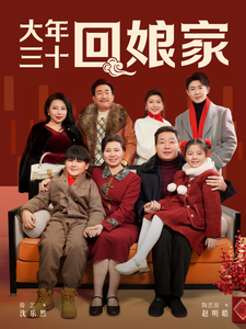 大年三十回娘家 - 现代都市 (2025) 海报