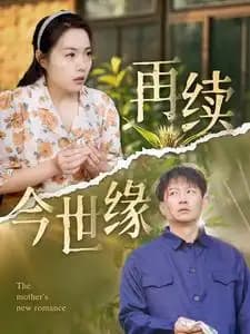 再续今世缘 - 女频恋爱 (2025) 海报