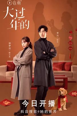 大过年的 - 国产剧 (2024) 海报