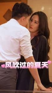 风吹过的夏天 - 现代都市 (2025) 海报