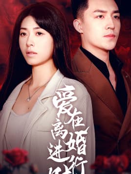 爱在离婚进行时 - 国产剧 (2024) 海报