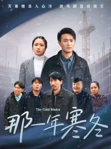 那一年寒冬 - 现代都市 (2025) 海报