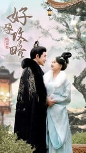 好孕攻略 - 古装仙侠 (2025) 海报