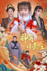 神算小郡主 - 古装仙侠 (2025) 海报