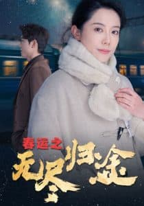 春运之无尽归途 - 现代都市 (2025) 海报