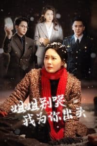 姐姐别哭我为你出头 - 现代都市 (2025) 海报