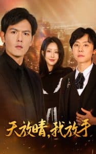 天放晴我放手 - 现代都市 (2025) 海报