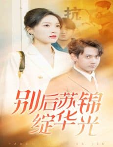 别后苏锦绽华光 - 现代都市 (2025) 海报